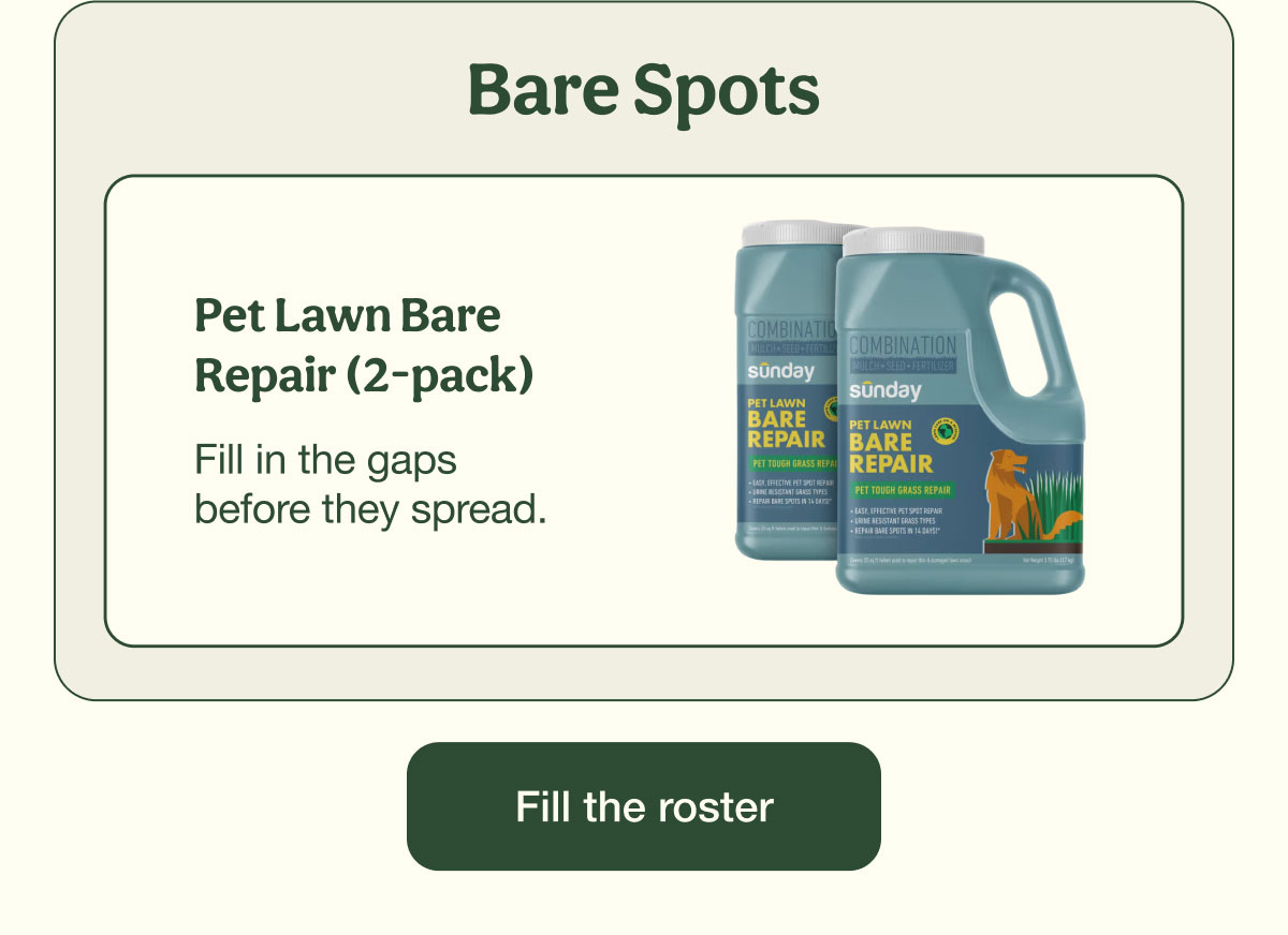 Bare Spots | Pet Lawn Bare Repair (2-pack) | Fill the roster