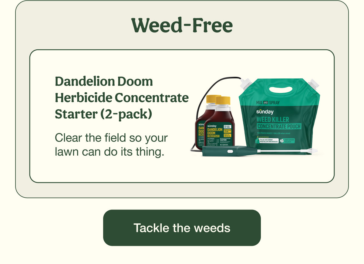 Weed-Free | Dandelion Doom Herbicide Concentrate Starter (2-pack) | Tackle the weeds