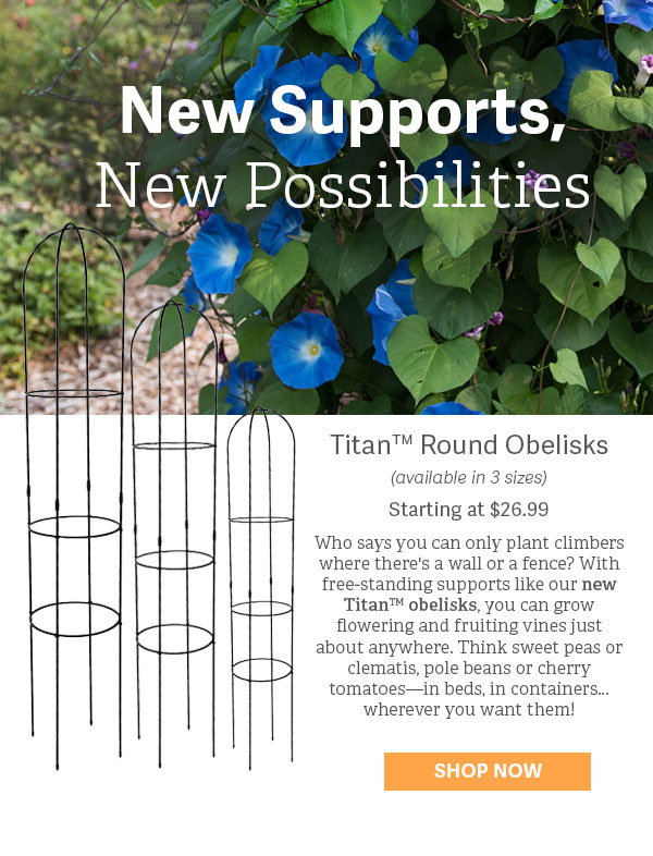New Supports, New Possibilities - Titan Round Obelisk - Starting at $26.99 - Who says you can only plant climbers where there's a wall or a fence? With free-standing supports like our new Titan™ obelisks, you can grow flowering and fruiting vines just about anywhere. Think sweet peas or clematis, pole beans or cherry tomatoes—in beds, in containers... wherever you want them! - SHOP NOW 