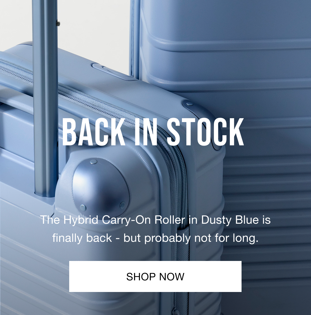 BACK IN STOCK - Shop now