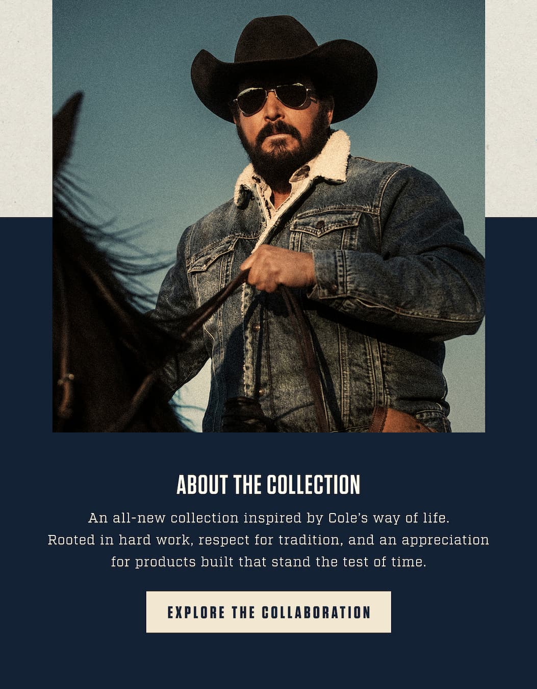 Explore The Collection