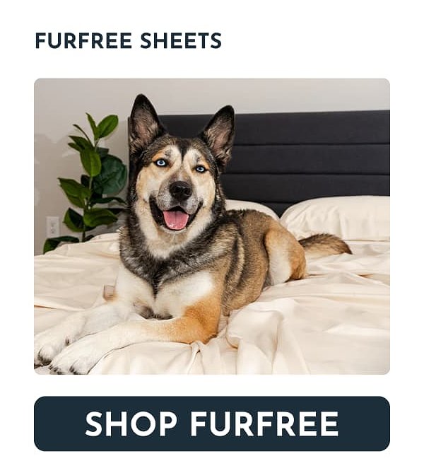 A happy dog lying on a bed with light-colored sheets.