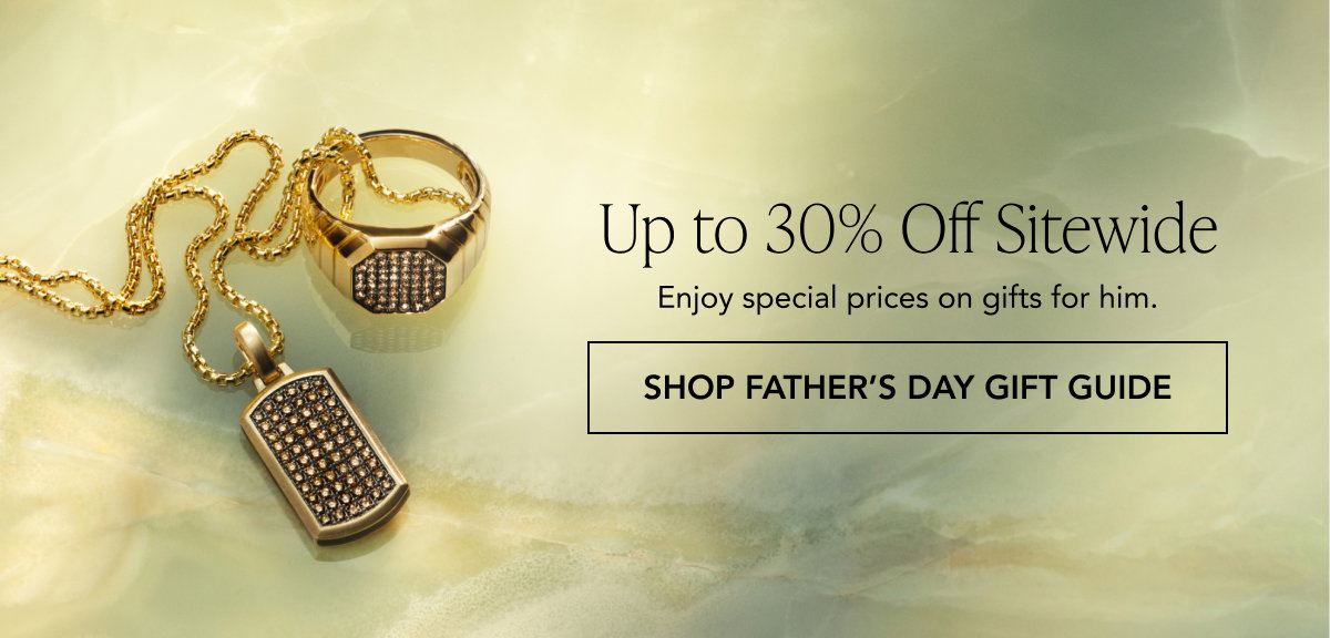 SHOP FATHER'S DAY GIFTS GUIDE