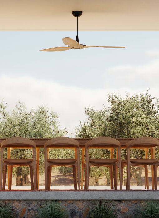 Outdoor Ceiling Fans →