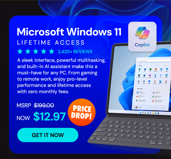 Microsoft Windows 11 Pro