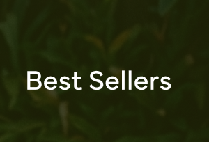 Best Sellers