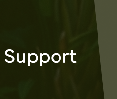 Support
