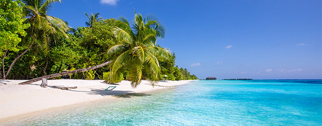 Spirit of the South Pacific & Fiji