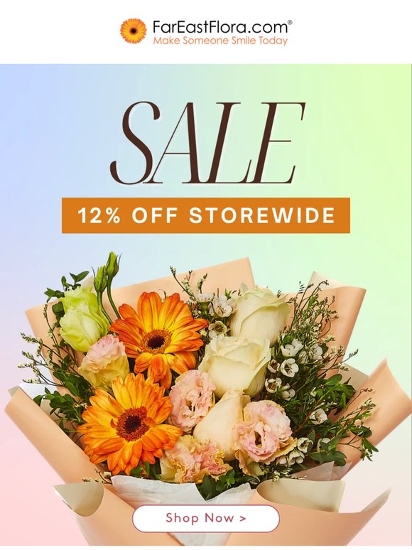 Mid-Year Bloom Sale: 12% Off Everything
