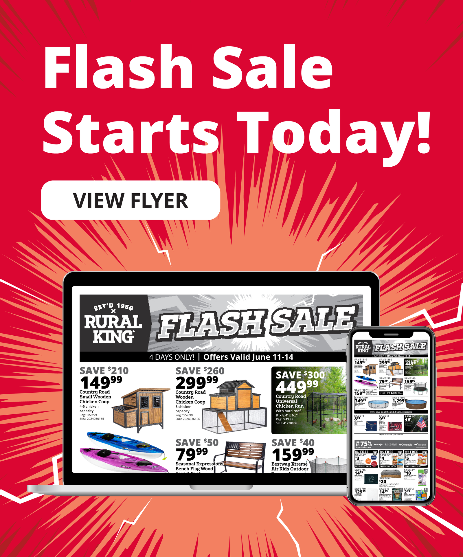 FLASH SALE