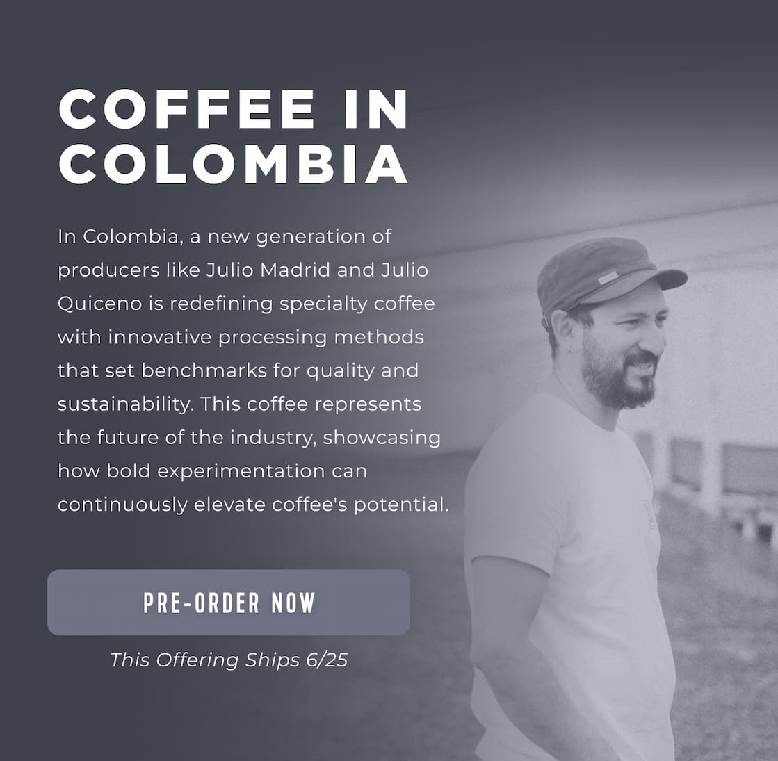 Coffees In Colombia