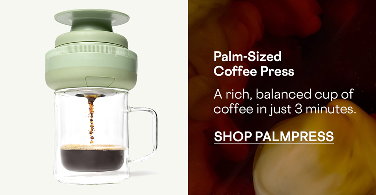 Shop Palmpress for Father's Day
