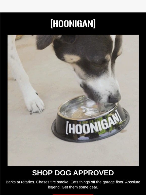 WE HAVE STUFF FOR YOUR DOG