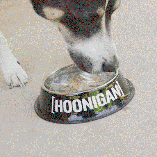 DOG GEAR