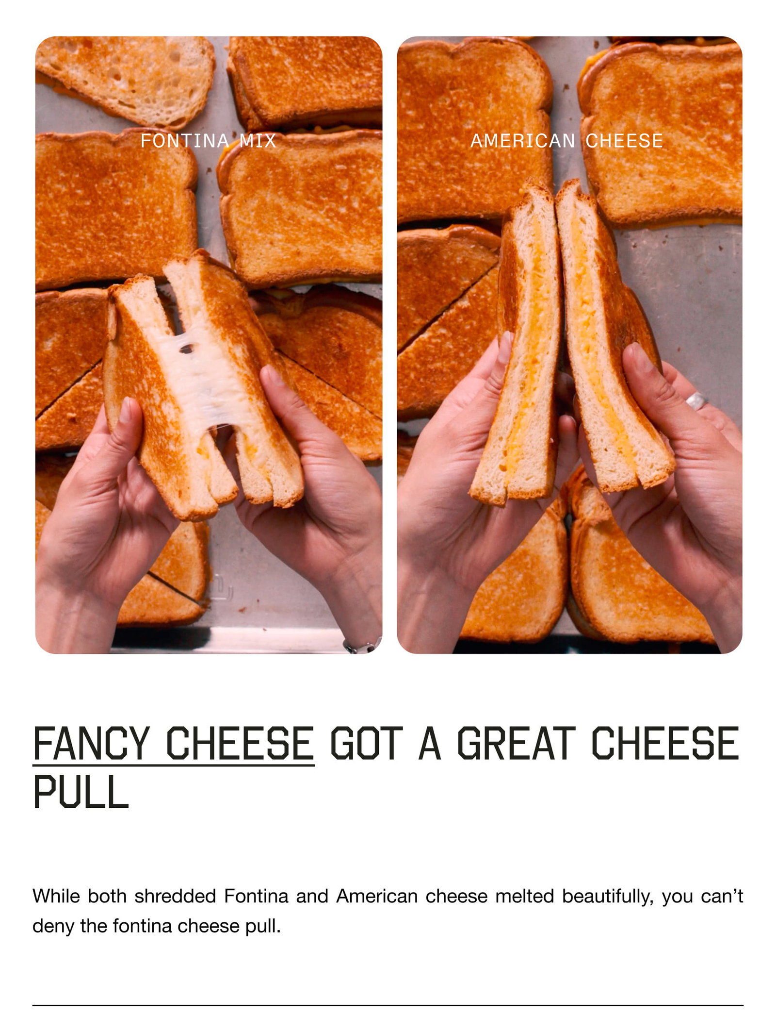 Fancy Cheese