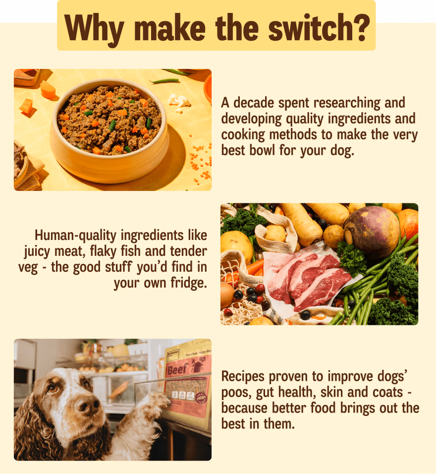 Why make the switch? A decade spent researching and developing quality ingredients and cooking methods to make the very best bowl for your dog. I Human-quality ingredients like juicy meat, flaky fish and tender veg - the good stuff you’d find in your own fridge. I Recipes proven to improve dogs’ poos, gut health, skin and coats - because better food brings out the best in them.