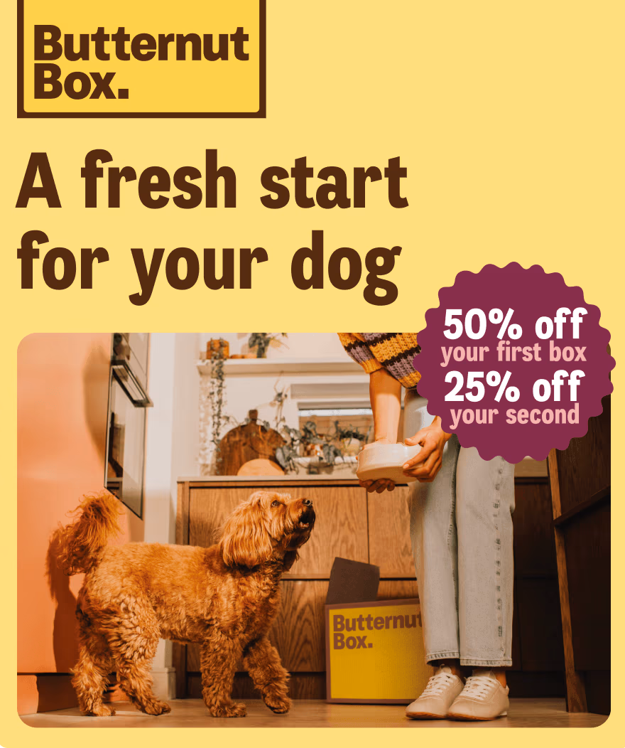 A fresh start for your dog: 50% off your first box and 25% off your second box