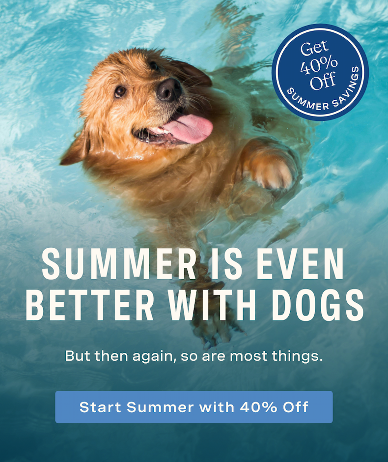 Summer Is Even Better with Dogs - But then again, so are most things