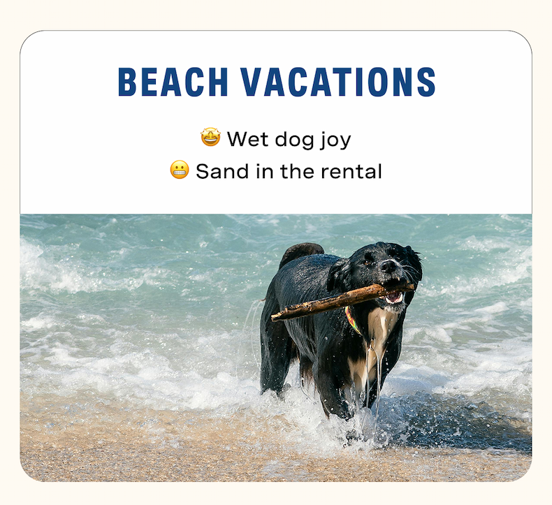 Beach Vacations = wet dog joy + sand in the rental