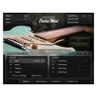 Native Instruments Session Guitarist - Electric Mint Virtual Instrument...