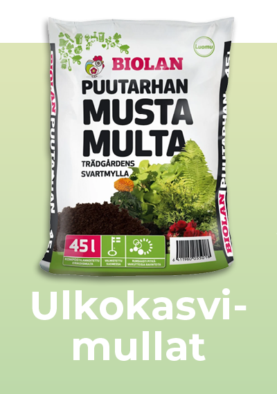 Ulkokasvimullat