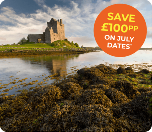 A scenic view of a castle by the water, with seaweed in the foreground and a blue sky.