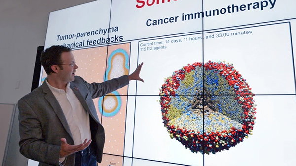 A photograph of engineer Paul Macklin demonstrating 3D simulations of tumour and immune cells. 