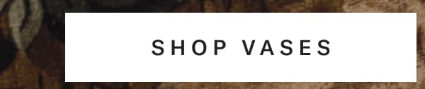 Shop Vases