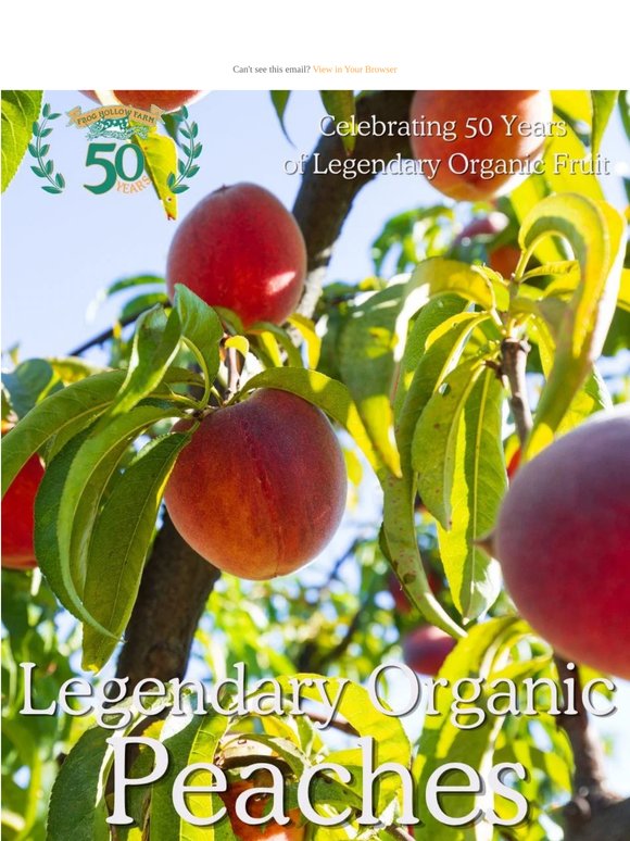 Dive into Juicy Organic Peaches! 🍑