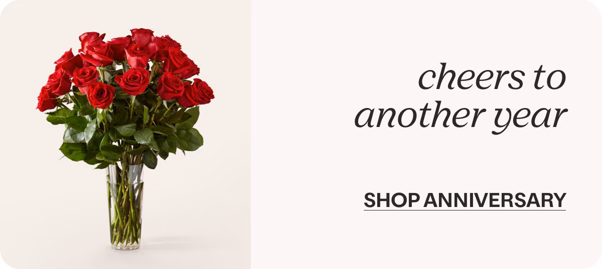 cheers to another year - SHOP ANNIVERSARY »