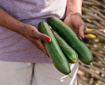 Plant or sow cucumbers outside