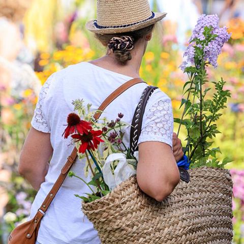 Summer Garden Weekend at RHS Harlow Carr | 19 – 21 Jun