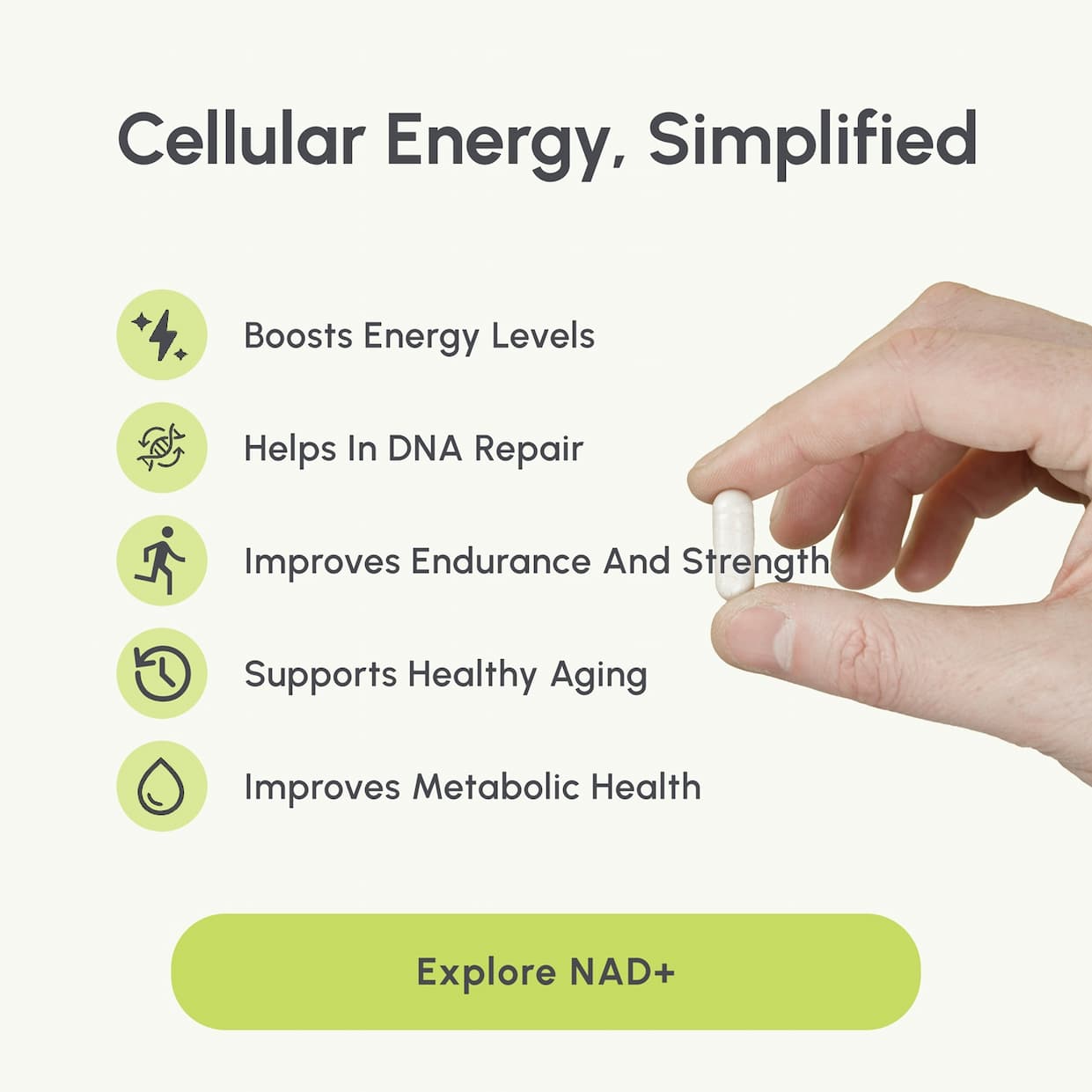 NR boosts NAD+ levels, enhancing mitochondria, energy, and endurance. It supports heart health by improving function and reducing blood pressure while aiding cognition through neuroplasticity and brain health.