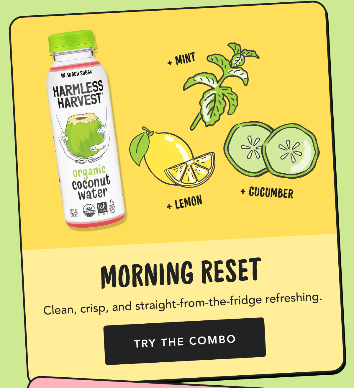 Morning Reset | Clean, crisp, and straight-from-the-fridge refreshing. TRY THE COMBO