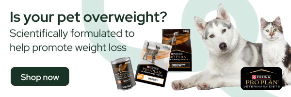 Purina OM Obesity