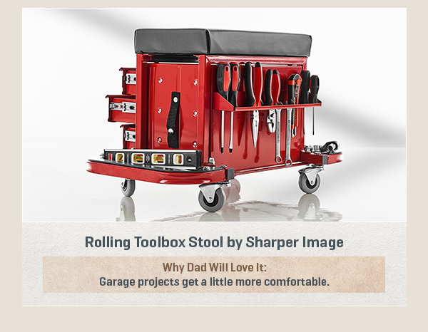 Rolling Toolbox Stool by Sharper Image