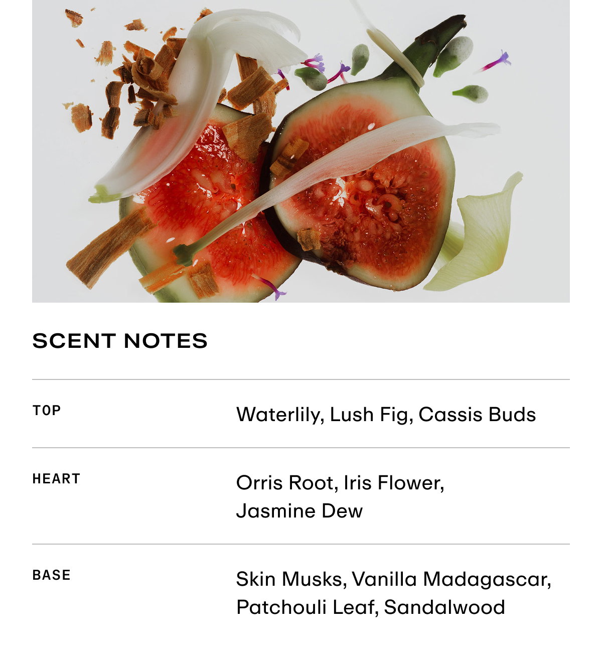 Father Figure - Scent Notes