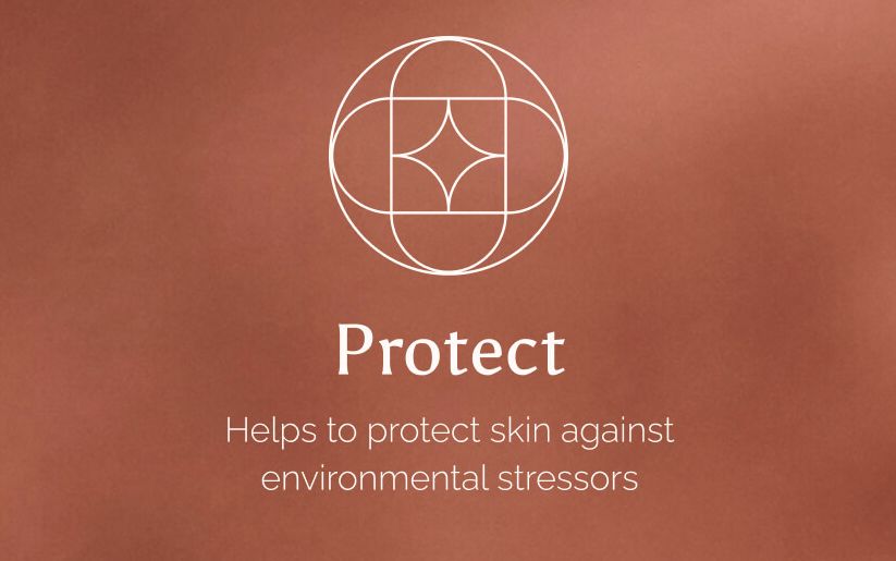 Protect - Helps to protect skin against environmental stressors
