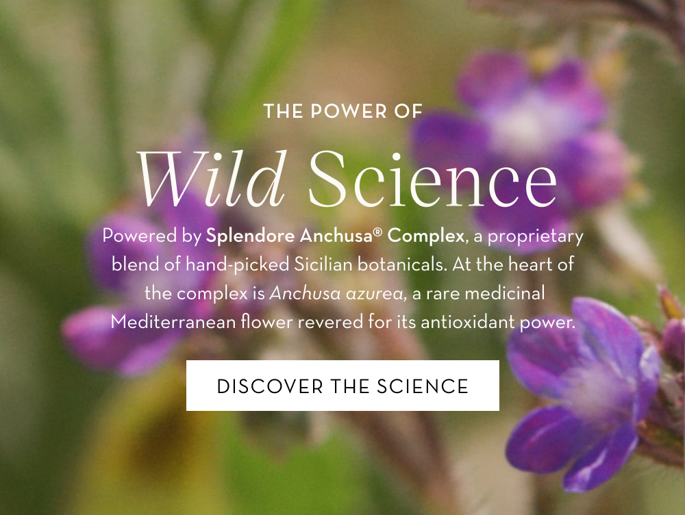 Learn about the science and ingredients behind Splendore Anchusa® Complex.