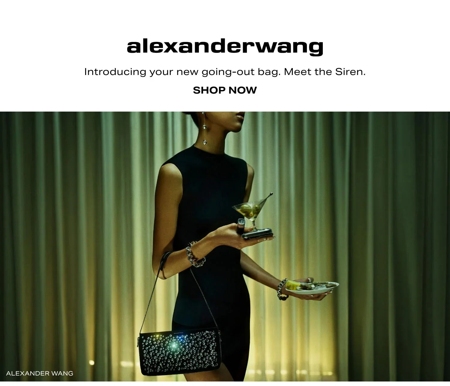Shop Alexander Wang