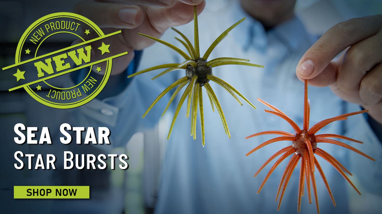 New Sea Star Star Bursts Shop Now