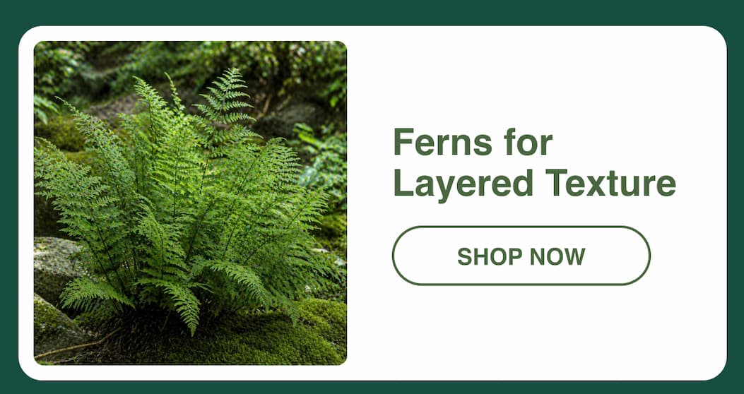 Ferns for layered texture