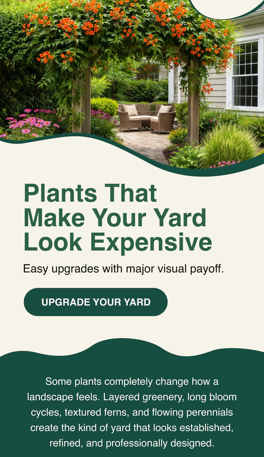 Upgrade Your yard