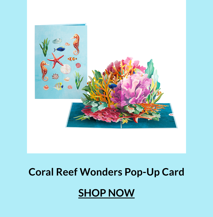 Coral Reef Wonders Pop-Up Card.