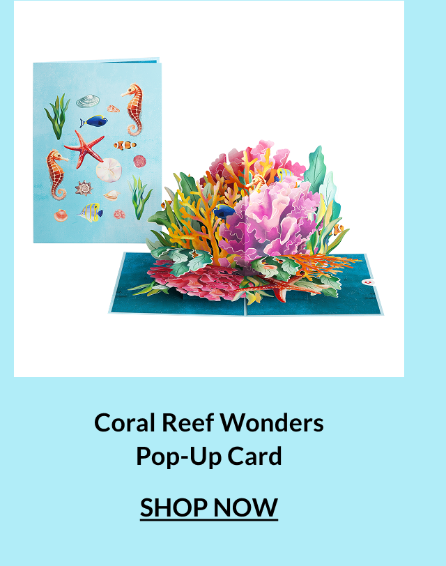 Coral Reef Wonders Pop-Up Card.
