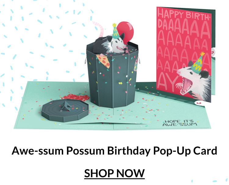 Awe-ssum Possum Birthday Pop-Up Card.