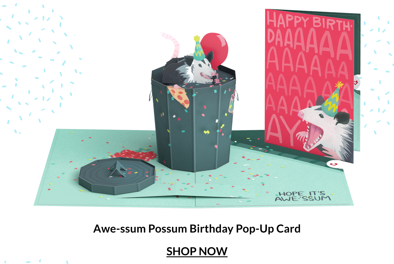 Awe-ssum Possum Birthday Pop-Up Card.