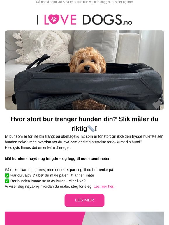 Hvor stort bur trenger hunden din? Slik måler du riktig📏🩷