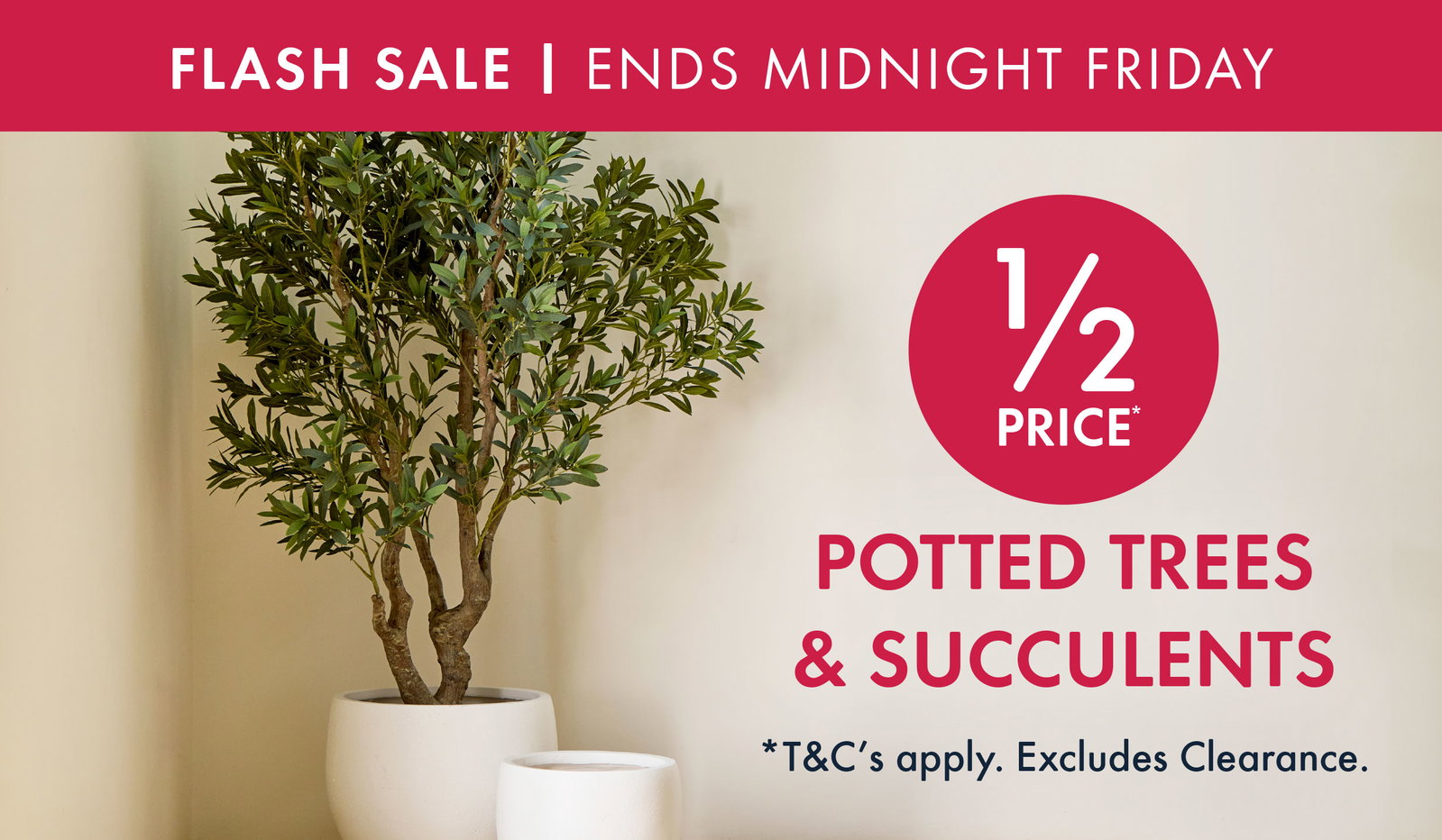 Flash Sale Artificial Trees & Succulents