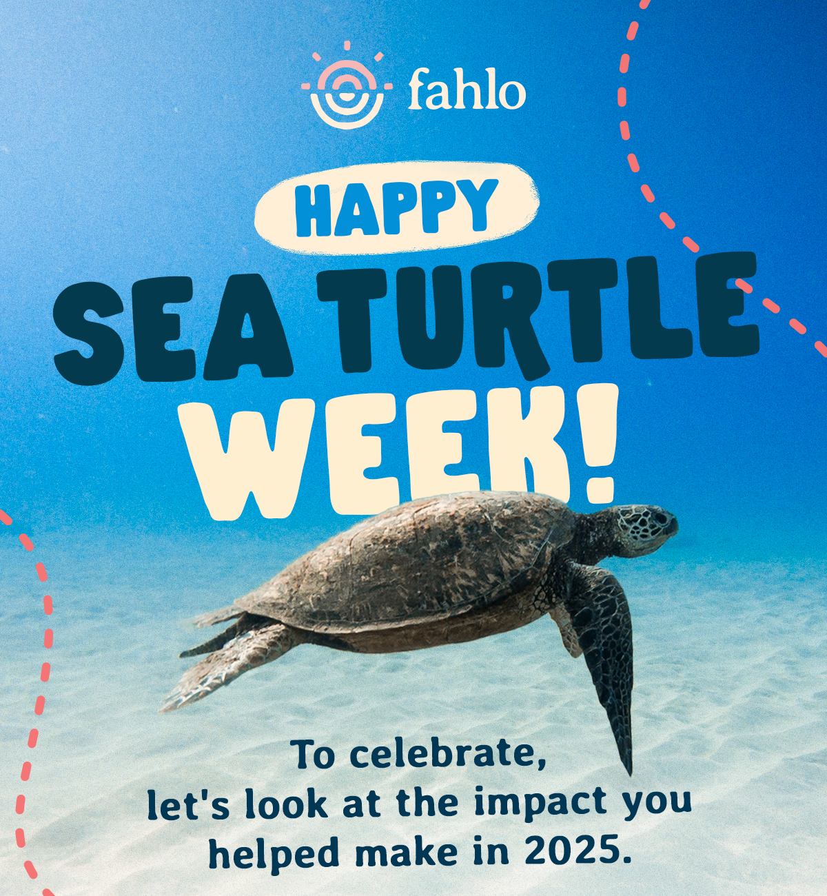 It's National Sea Turtle Week!